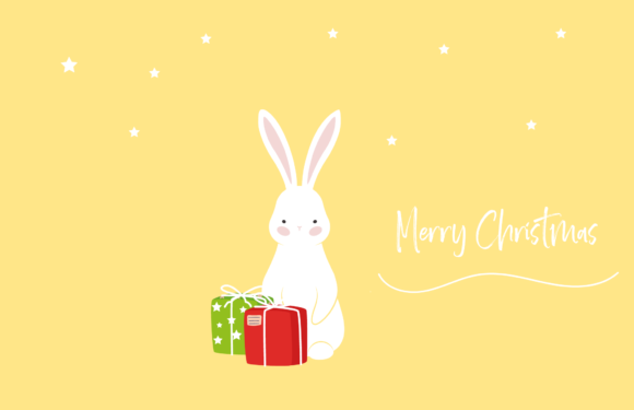 Christmas Rabbit Decoration Illustration for Branding