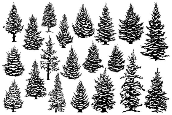 Christmas Snowy Pine Trees Illustrations