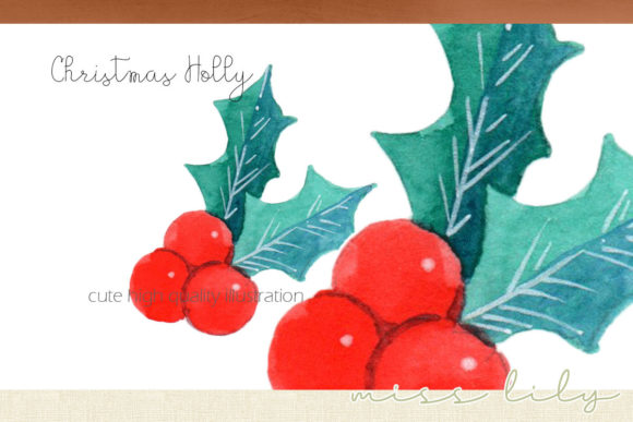 Watercolor Christmas Holly Illustration Review